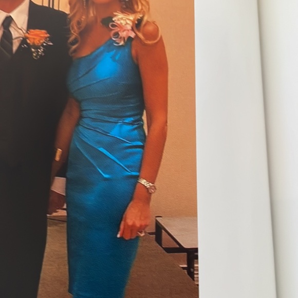 Cache Dress - Picture 5 of 5